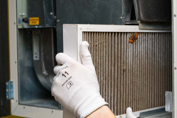 Best Ductwork Cleaning Services  in Eden, TX