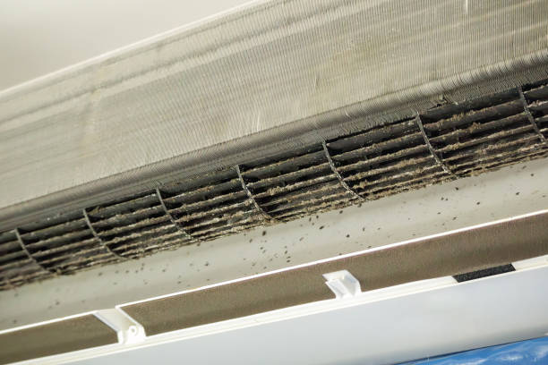 Best General Air Duct Cleaning  in Eden, TX